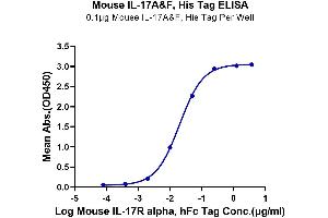IL-17A/F Protein (His-Avi Tag)