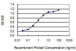 Image no. 1 for anti-Cortistatin (CORT) (AA 1-155) antibody (ABIN1989507)