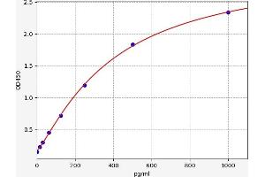 Image no. 1 for Nuclear Factor (erythroid-Derived 2)-Like 2 (NFE2L2) ELISA Kit (ABIN6968997)