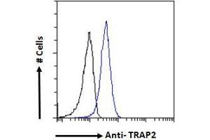 Image no. 4 for anti-Proteasome (Prosome, Macropain) 26S Subunit, Non-ATPase, 2 (PSMD2) (C-Term) antibody (ABIN185319)