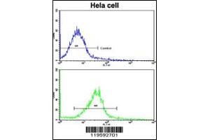 Flow Cytometry (FACS) image for anti-CUE Domain Containing 2 (CUEDC2) antibody (ABIN2158411)