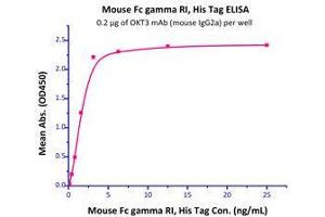 Immobilized OKT3 mAb (mouse IgG2a) at 2 μg/mL (100 μl/well) can bind Mouse Fc gamma RI, His Tag (Cat# CD4-M5227) with a linear range of 0.