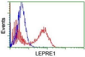 Image no. 3 for anti-Leucine Proline-Enriched Proteoglycan (Leprecan) 1 (LEPRE1) antibody (ABIN1499129)