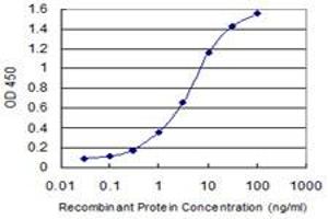 Image no. 2 for anti-N-Ethylmaleimide-Sensitive Factor Attachment Protein, gamma (NAPG) (AA 1-100) antibody (ABIN522217)
