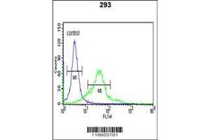 Image no. 2 for anti-Sestrin 2 (SESN2) (AA 283-311) antibody (ABIN652222)
