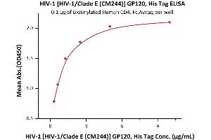 Immobilized Biotinylated Human CD4, Fc Tag (ABIN5674591,ABIN6253696) at 1 μg/mL (100 μL/well) can bind HIV-1 [HIV-1/Clade E (CM244)] GP120, His Tag (3) with a linear range of 0.