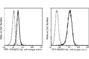 Image no. 1 for anti-CD276 (CD276) (AA 1-461) antibody (FITC) (ABIN1998399)