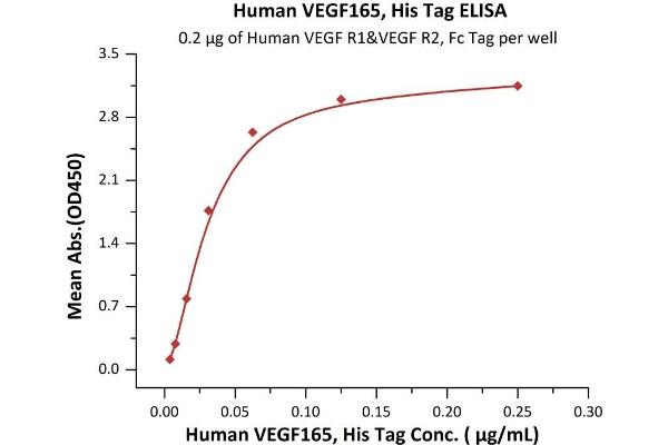 VEGF Protein (Vascular Endothelial Growth Factor) (AA 27-191) (His tag)