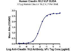 ELISA image for Claudin 18.2 (Active) protein-VLP (ABIN7448160)