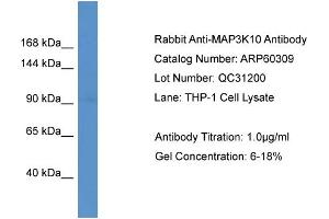 Image no. 1 for anti-Mitogen-Activated Protein Kinase Kinase Kinase 10 (MAP3K10) (C-Term) antibody (ABIN2774283)