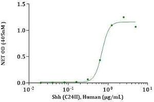 Sonic Hedgehog (SHH) (AA 24-197), (Cys24IleIle-Mutant) (Active) protein