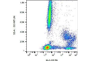 Flow cytometry analysis (surface staining) of human peripheral blood cells with anti-human HLA-DR (MEM-12) PE.