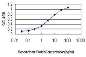 Image no. 1 for anti-Secretagogin, EF-Hand Calcium Binding Protein (SCGN) (AA 1-276) antibody (ABIN564621)