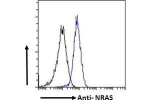 Image no. 6 for anti-GTPase NRas (NRAS) (Internal Region) antibody (ABIN302138)