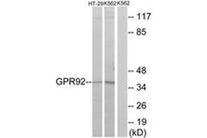 Image no. 1 for anti-Lysophosphatidic Acid Receptor 5 (LPAR5) (AA 241-290) antibody (ABIN1535753)
