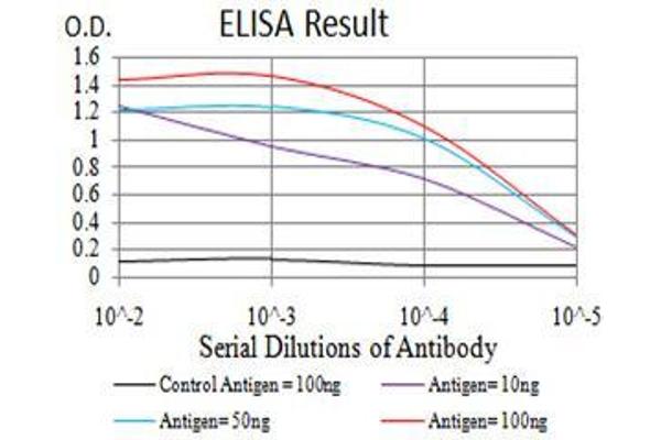 HOXA9 anticorps  (AA 1-272)