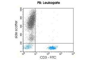 Image no. 1 for anti-CD3 (CD3) antibody (ABIN1741587)