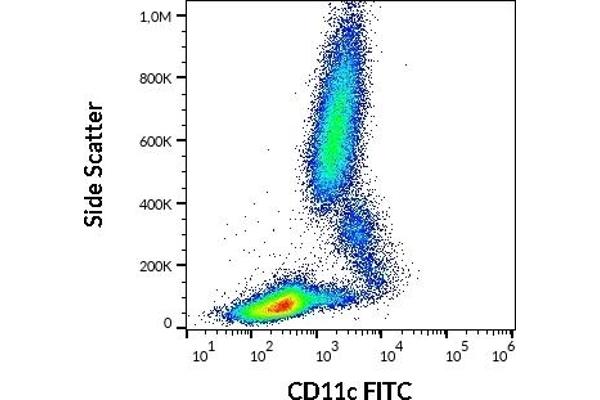CD11c 抗体  (FITC)