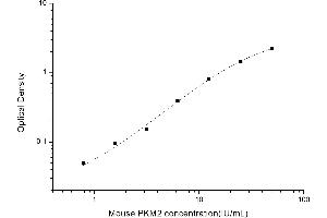 Image no. 1 for Pyruvate Kinase M1/2 (PKM) ELISA Kit (ABIN6962948)