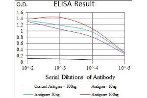 Image no. 1 for anti-Nestin (NES) (AA 419-588) antibody (ABIN1724750)
