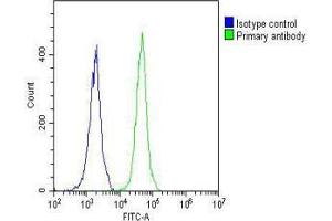 Image no. 2 for anti-Neuropilin (NRP) and Tolloid (TLL)-Like 2 (NETO2) (AA 174-203), (N-Term) antibody (ABIN657245)