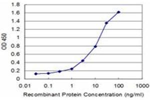 anti-Ribosomal Protein S29 (RPS29) (AA 1-56) antibody