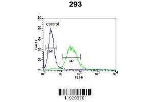 Image no. 3 for anti-Coagulation Factor X (F10) (AA 351-381), (C-Term) antibody (ABIN390688)