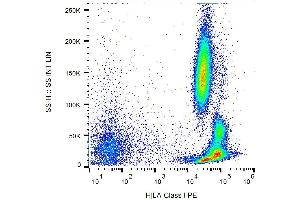 Image no. 2 for anti-MHC Class I Polypeptide-Related Sequence A (MICA) antibody (PE) (ABIN192165)