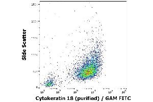 Image no. 5 for anti-Keratin 18 (KRT18) antibody (ABIN94279)