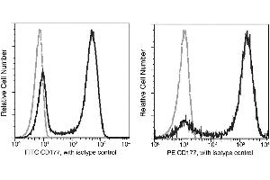 Image no. 1 for anti-CD177 Molecule (CD177) (AA 1-407) antibody (FITC) (ABIN6923837)
