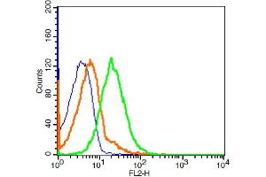 Image no. 1 for anti-TYRO Protein tyrosine Kinase Binding Protein (TYROBP) (AA 31-113) antibody (PE) (ABIN4908589)