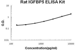 Image no. 1 for Insulin-Like Growth Factor Binding Protein 5 (IGFBP5) ELISA Kit (ABIN1889438)