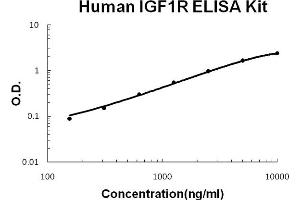 Image no. 1 for Insulin-Like Growth Factor 1 Receptor (IGF1R) ELISA Kit (ABIN6720107)