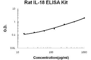 Image no. 1 for Interleukin 18 (IL18) ELISA Kit (ABIN411383)
