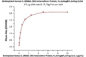 ELISA image for IL-2 R beta & IL-2 R gamma (AA 27-239) (Active) protein (Fc Tag,AVI tag,Biotin) (ABIN6973116)