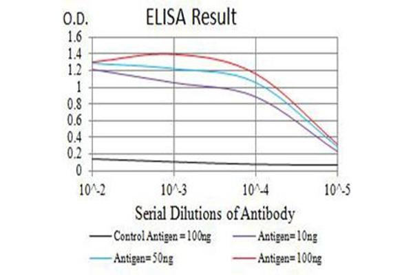 anti-Tolloid-Like 1 (TLL1) (AA 870-1013) antibody