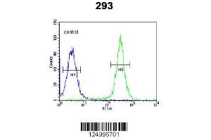 Image no. 3 for anti-Gasdermin A (GSDMA) (AA 66-94), (N-Term) antibody (ABIN651081)