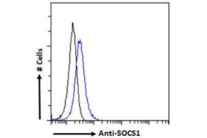Image no. 3 for anti-Suppressor of Cytokine Signaling 1 (SOCS1) (C-Term) antibody (ABIN184575)