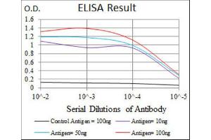 Image no. 1 for anti-Hexosaminidase A (HEXA) antibody (ABIN1846273)