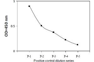Caspase 7 ELISA Kit