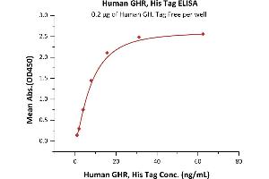 Immobilized Human GH, Tag Free at 2 μg/mL (100 μL/well) can bind Human GHR, His Tag (ABIN2181159,ABIN2181158) with a linear range of 1-8 ng/mL (QC tested).