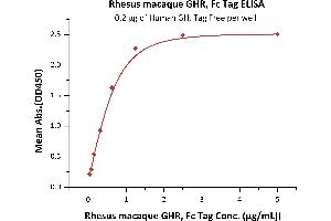 Immobilized Human GH, Tag Free at 2 μg/mL (100 μL/well) can bind Rhesus macaque GHR, Fc Tag (ABIN6731254,ABIN6809923) with a linear range of 0.