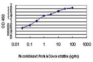 Image no. 5 for anti-Period Circadian Protein 2 (PER2) (AA 1-100) antibody (ABIN563850)