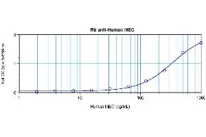 Image no. 1 for anti-Chemokine (C-C Motif) Ligand 28 (CCL28) antibody (ABIN615627)