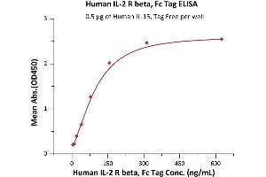 Immobilized Human IL-2 R beta, Fc Tag (ABIN2181388,ABIN2181387) at 5 μg/mL (100 μL/well) can bind Human IL-15, Tag Free (ABIN6386427,ABIN6388244) with a linear range of 5-156 ng/mL (Routinely tested).