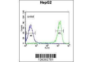 Flow Cytometry (FACS) image for anti-Fatty Acid Amide Hydrolase 2 (FAAH2) antibody (ABIN2158774)