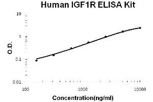 Image no. 1 for Insulin-Like Growth Factor 1 Receptor (IGF1R) ELISA Kit (ABIN2859294)