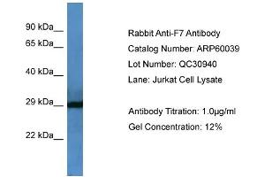 Image no. 2 for anti-Coagulation Factor VII (F7) (Middle Region) antibody (ABIN2788317)