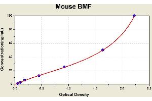 Image no. 2 for Bcl2 Modifying Factor (BMF) ELISA Kit (ABIN1113696)