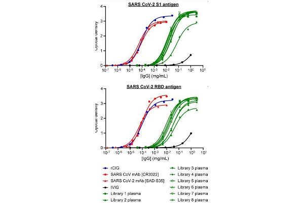 SARS-CoV-2 Spike S1 antibody  (RBD)